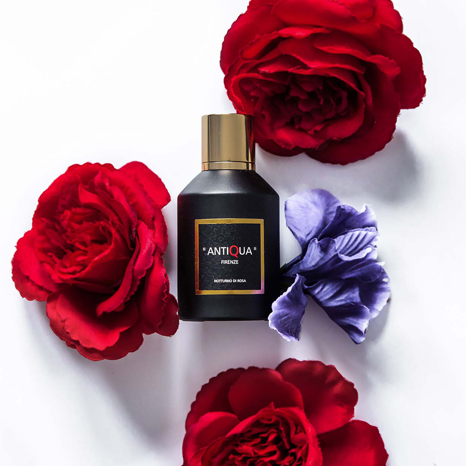 ANTIQUA FIRENZE NOTTURNO DI ROSA 100ML EAU DE PARFUM SPRAY