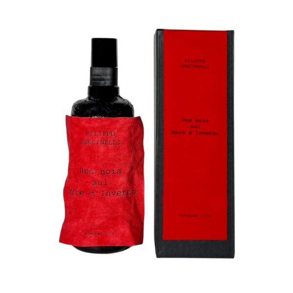 FILIPPO SORCINELLI UNA NOIA SUL MARE D'INVERNO ROOM SPRAY 100ML